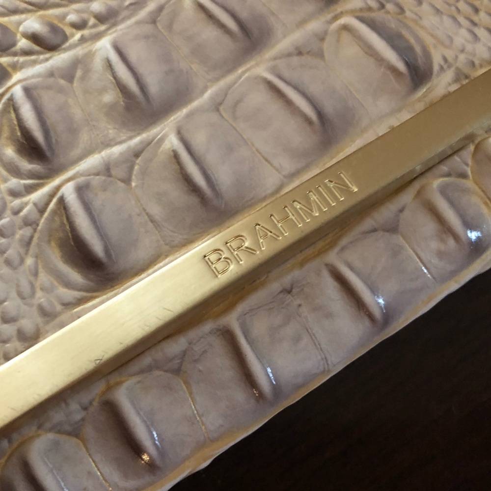 Gorgeous Brahmin Clutch